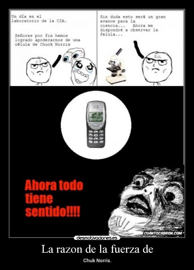 La razon de la fuerza de - Chuk Norris.