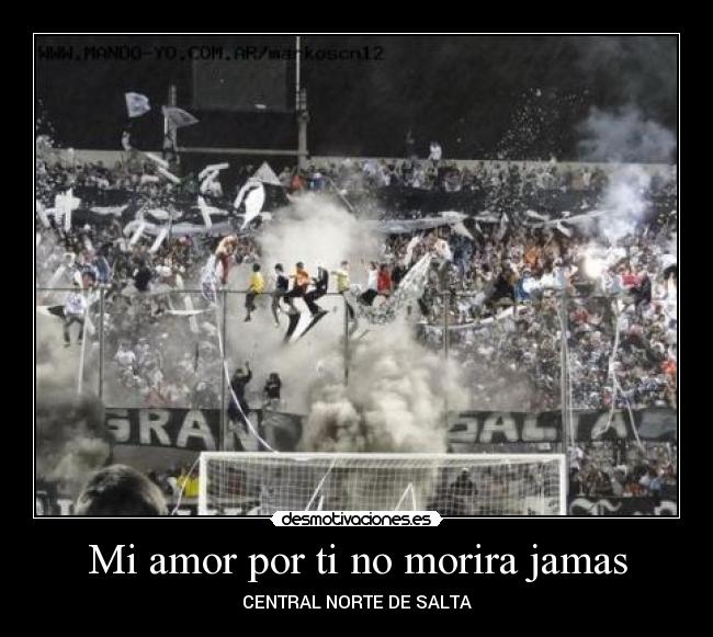 carteles amor jnm desmotivaciones