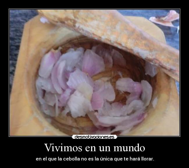 Vivimos en un mundo -