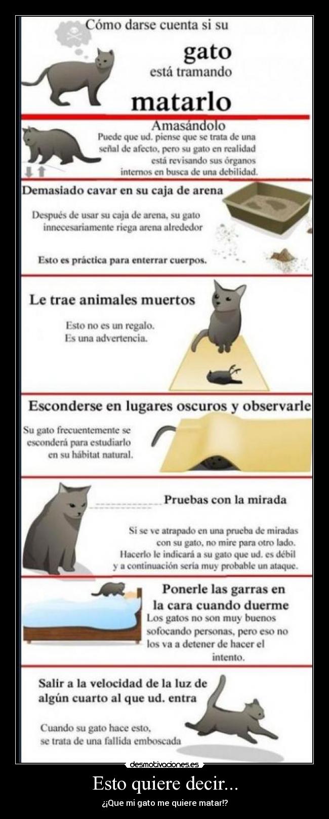 Esto quiere decir... -