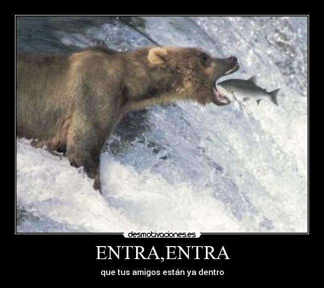 ENTRA,ENTRA - 