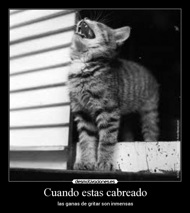 Cuando estas cabreado - las ganas de gritar son inmensas