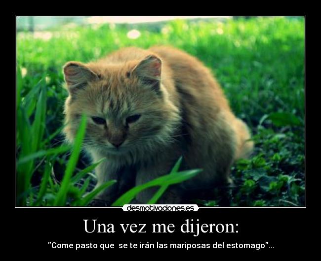 Una vez me dijeron: - Come pasto que se te irán las mariposas del estomago...