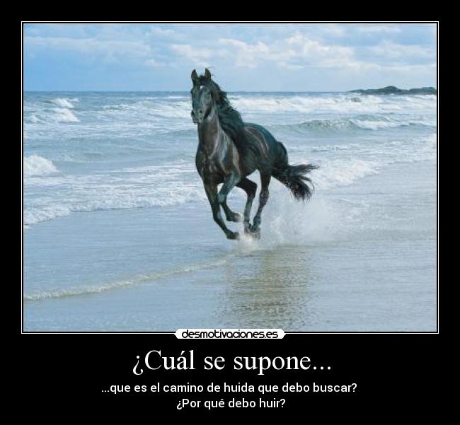 ¿Cuál se supone... - ...que es el camino de huida que debo buscar? 
¿Por qué debo huir?