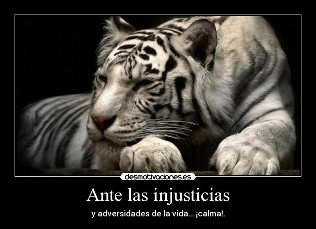 carteles calma paciencia desmotivaciones