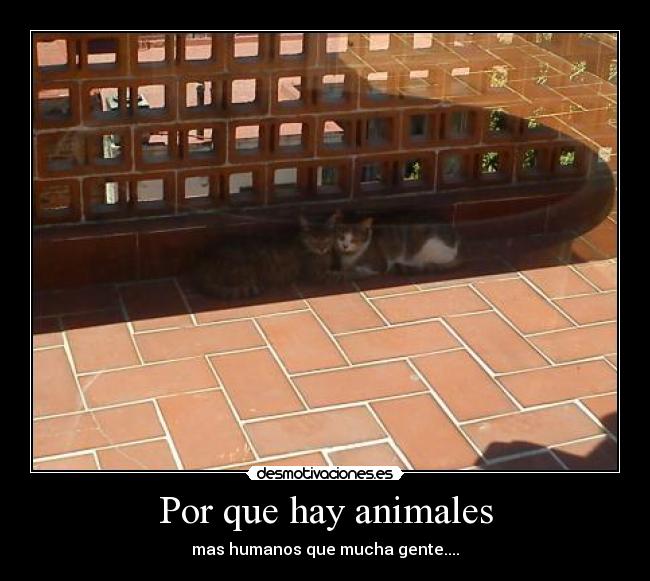 Por que hay animales -