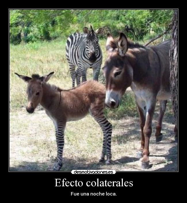 Efecto colaterales - Fue una noche loca.