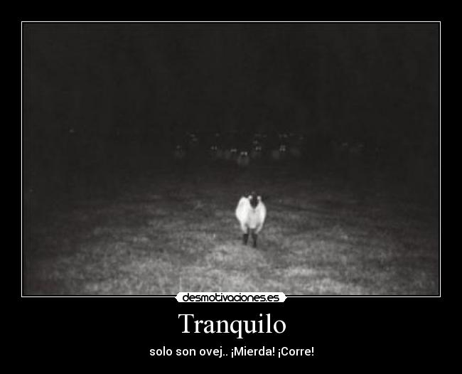 Tranquilo - solo son ovej.. ¡Mierda! ¡Corre!