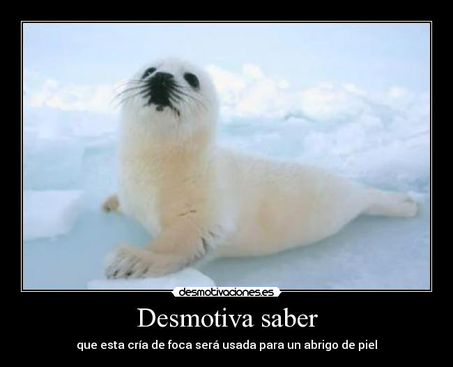 Desmotiva saber - 
