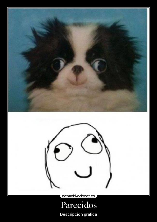 Parecidos - Descripcion grafica