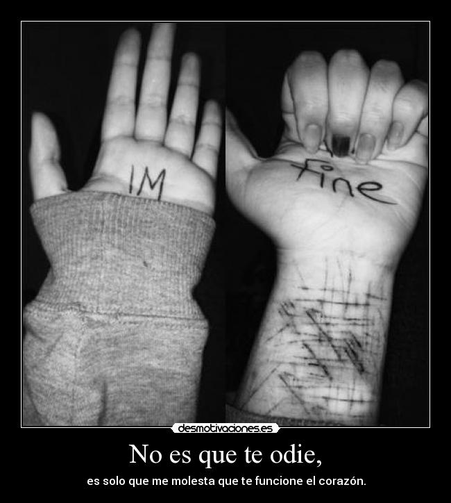 No es que te odie, - es solo que me molesta que te funcione el corazón.