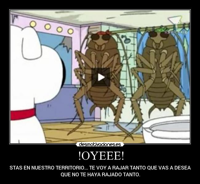 !OYEEE! - ESTAS EN NUESTRO TERRITORIO... TE VOY A RAJAR TANTO QUE VAS A DESEAR
QUE NO TE HAYA RAJADO TANTO.