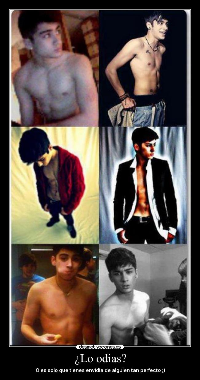 ¿Lo odias? -