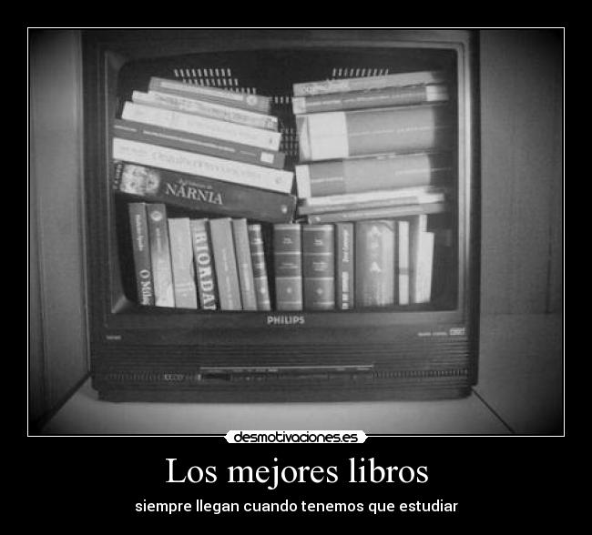 Los mejores libros - siempre llegan cuando tenemos que estudiar