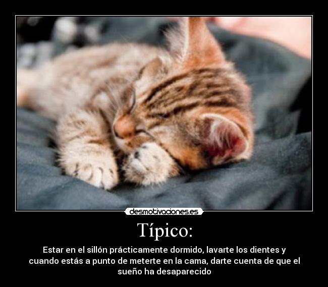 Típico: - Estar en el sillón prácticamente dormido, lavarte los dientes y
cuando estás a punto de meterte en la cama, darte cuenta de que el
sueño ha desaparecido