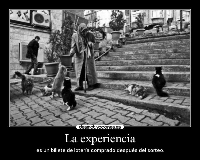 La experiencia - es un billete de lotería comprado después del sorteo.