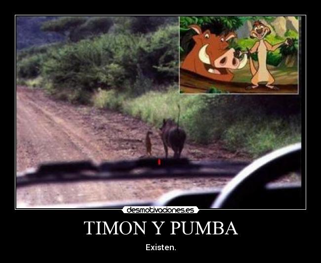 TIMON Y PUMBA - Existen.