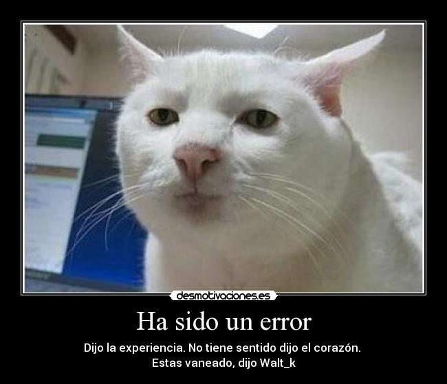 Ha sido un error - 