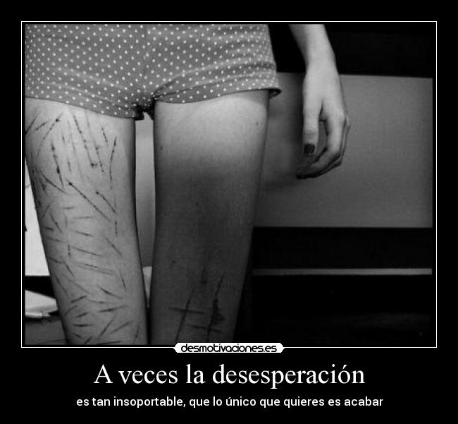 carteles miau pene desmotivaciones