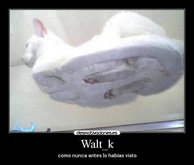 Walt_k -