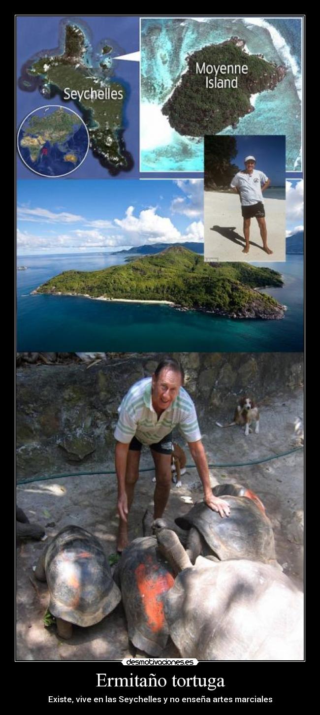Ermitaño tortuga - Existe, vive en las Seychelles y no enseña artes marciales