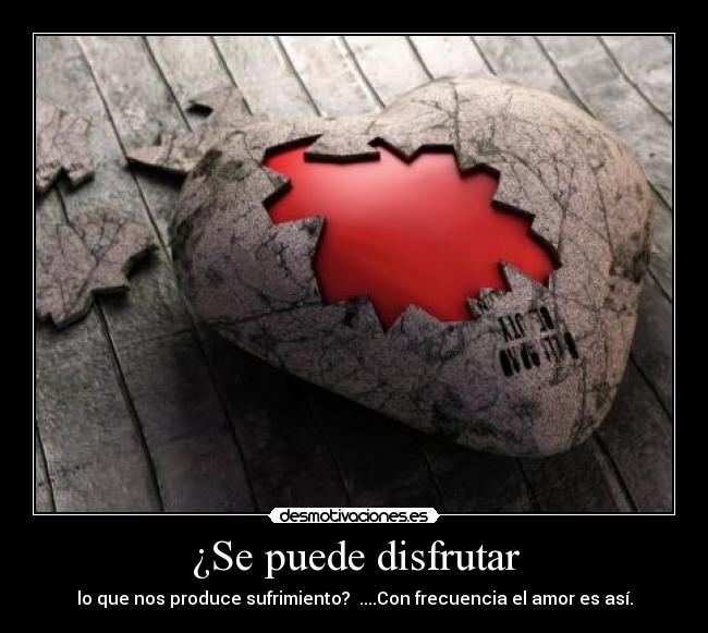 ¿Se puede disfrutar - 