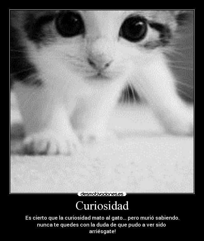 Curiosidad - Es cierto que la curiosidad mato al gato... pero murió sabiendo.
nunca te quedes con la duda de que pudo a ver sido 
arriésgate!