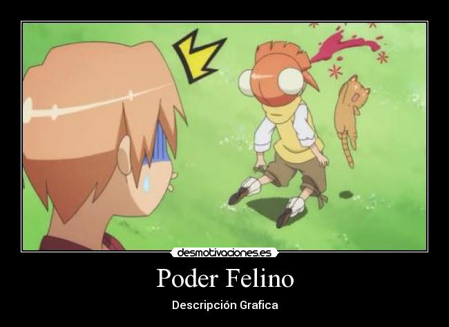 Poder Felino -