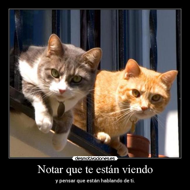 Notar que te están viendo -