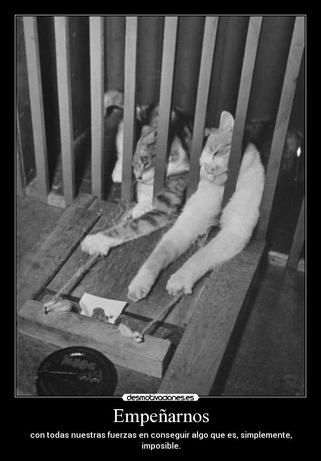 carteles cabezotas desmotivaciones