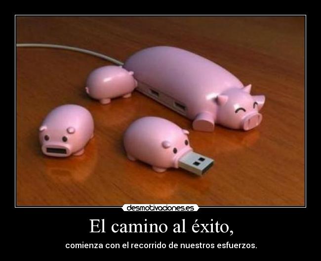 El camino al éxito, -