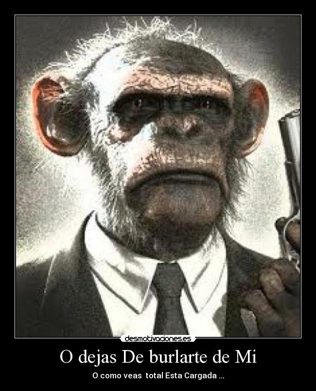 O dejas De burlarte de Mi - O como veas total Esta Cargada ...