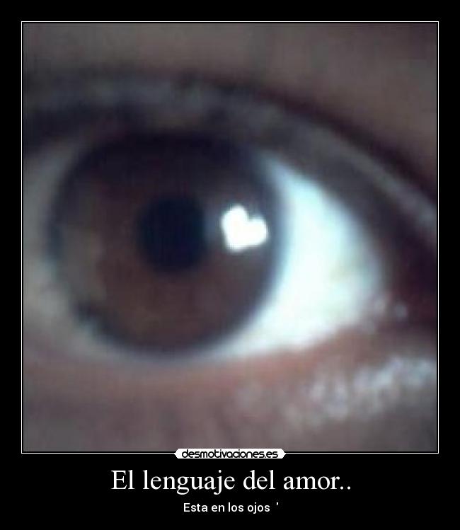 El lenguaje del amor.. - Esta en los ojos ♥