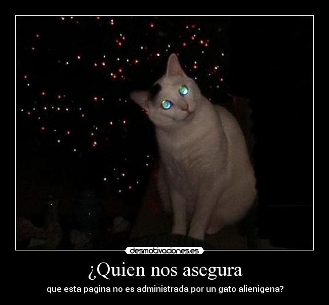 ¿Quien nos asegura - 