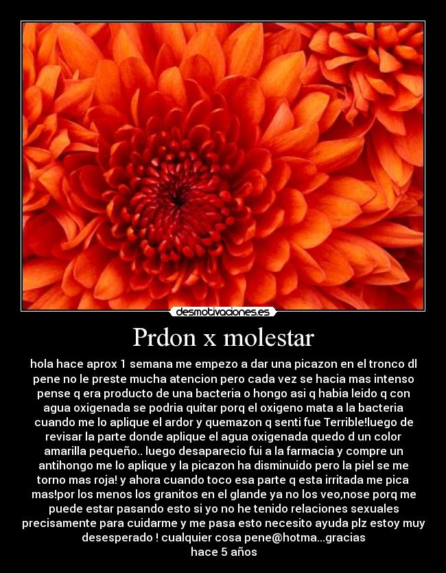 carteles ano clancerdo clanhoygan desmotivaciones