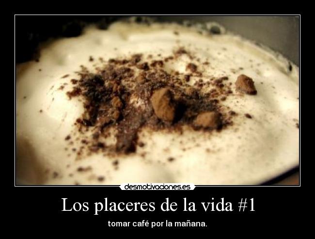 carteles vida sdggsafsd desmotivaciones