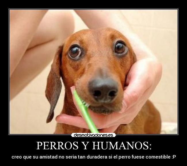 PERROS Y HUMANOS: - creo que su amistad no seria tan duradera si el perro fuese comestible :P
