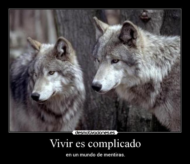 Vivir es complicado - en un mundo de mentiras.