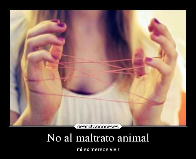 No al maltrato animal - mi ex merece vivir