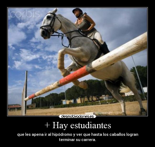 carteles 1267 desmotivaciones