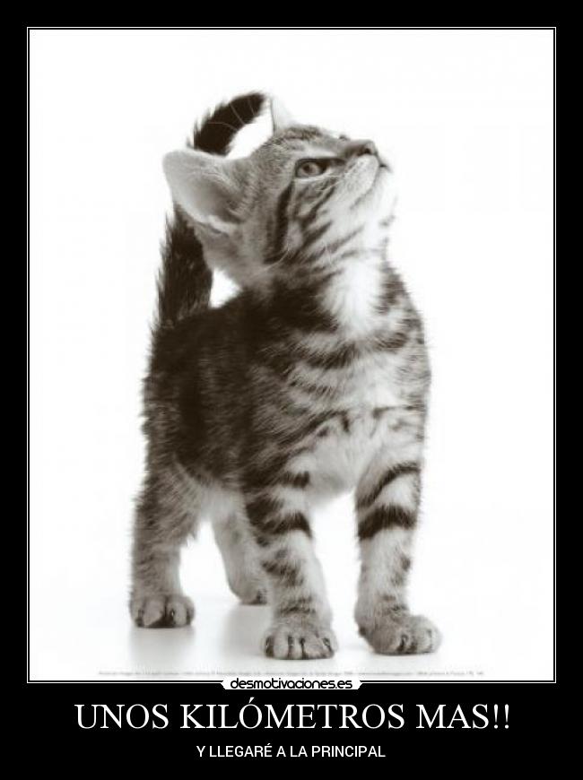 UNOS KILÓMETROS MAS!! - Y LLEGARÉ A LA PRINCIPAL