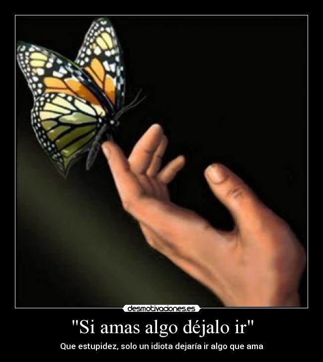 Si amas algo déjalo ir -