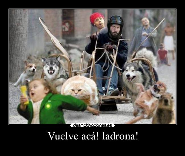 Vuelve acá! ladrona! -