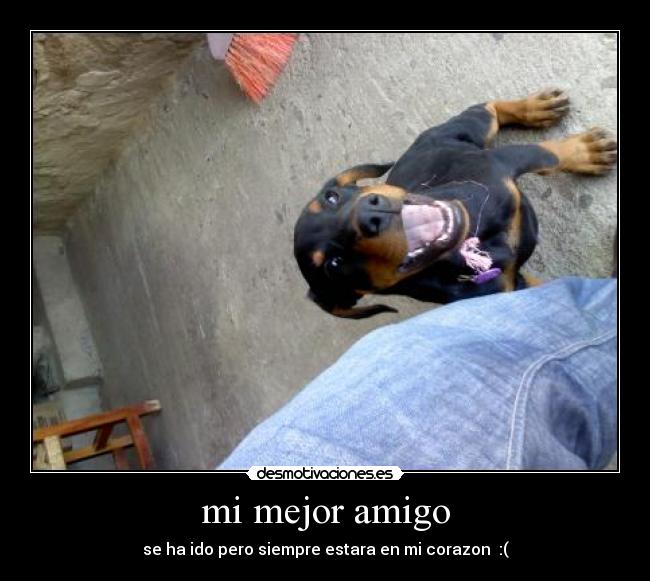 carteles foko desmotivaciones