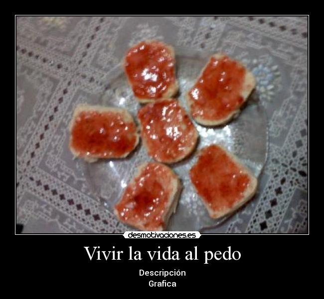 Vivir la vida al pedo - Descripción
Grafica