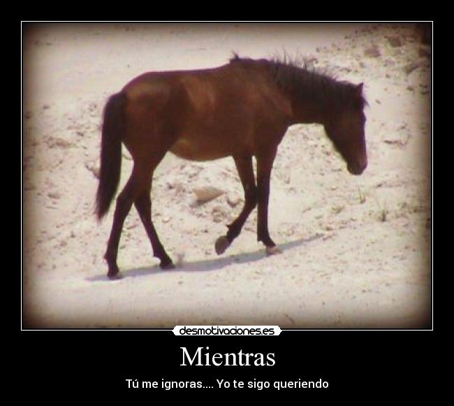 Mientras - 