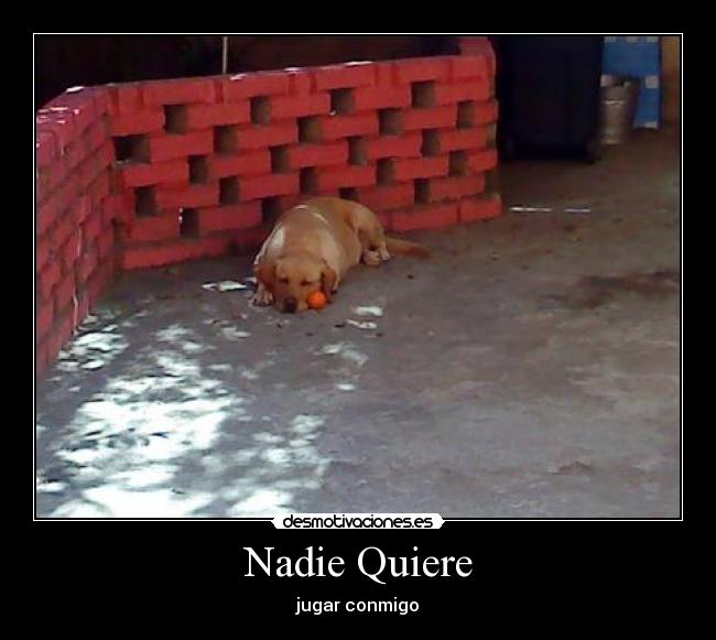 Nadie Quiere - 