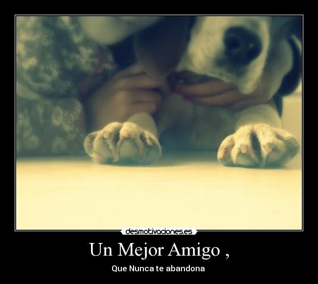 carteles jsdebgz desmotivaciones