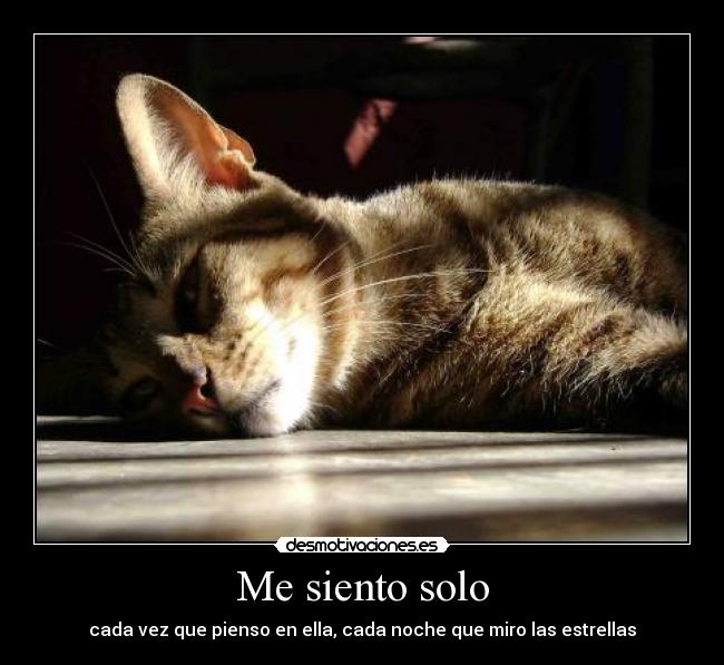 Me siento solo - cada vez que pienso en ella, cada noche que miro las estrellas