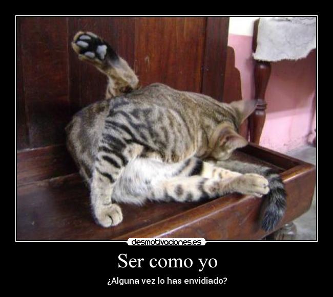 Ser como yo - ¿Alguna vez lo has envidiado?